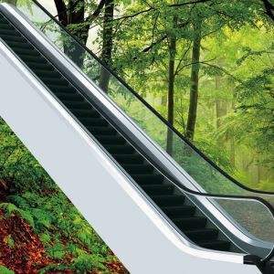 Utendørs Kommersiell Residential Små Hjem Rulletrapper